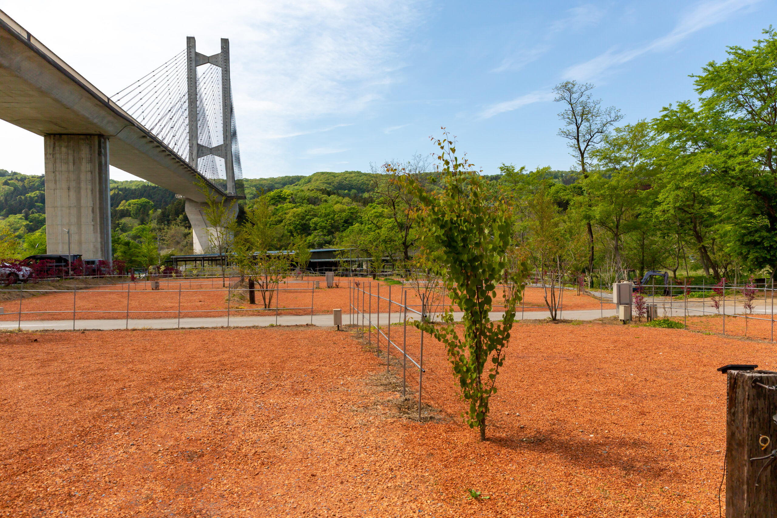 キャンプサイト